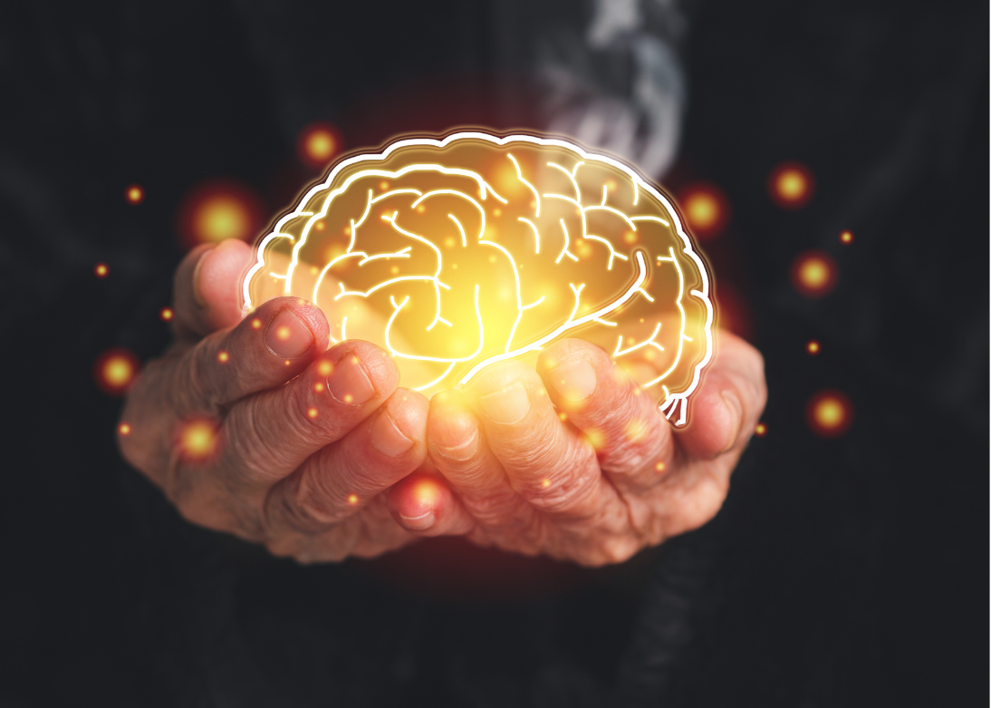 Epilepsy & Dementia Medical Illustration